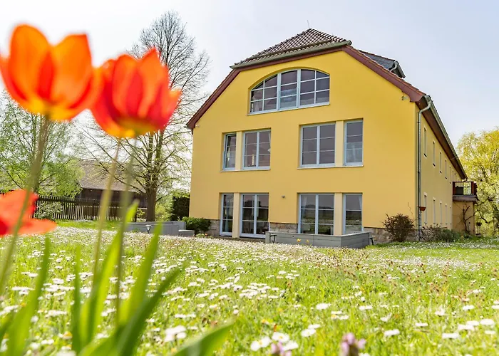 Haus Of Lords كورورت غوريتش